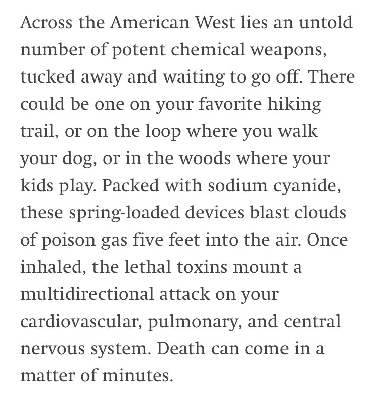 Hezbolsonaro's tweet photo. Cant believe I’ve never heard about how the US government plants cyanide bombs all around the west in order to kill wildlife. The ranching industry is so, so evil. https://t.co/Kbzi4c8R9w
