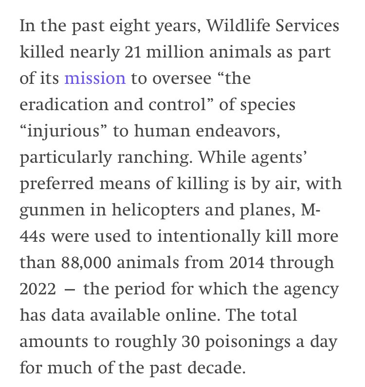 Hezbolsonaro's tweet photo. Cant believe I’ve never heard about how the US government plants cyanide bombs all around the west in order to kill wildlife. The ranching industry is so, so evil. https://t.co/Kbzi4c8R9w