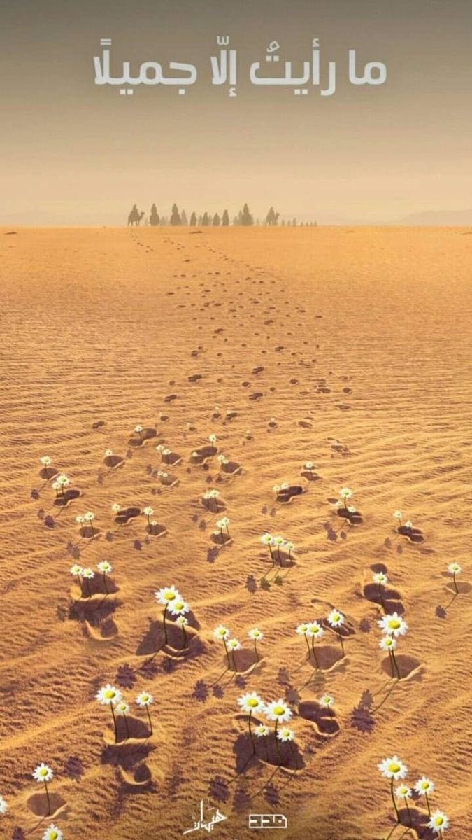 ما رأيت الا جميلاً.. السلام على قلب زينب الصبور 
💔 #ليله_الوحشه