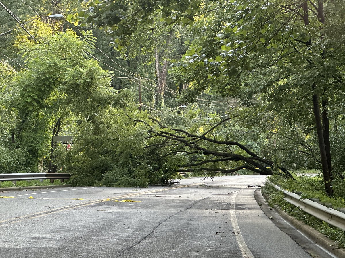 mbdalts's tweet photo. Tree down on Tuckerman making it tough to get to Cabin John ⁦⁦@nbcwashington⁩ https://t.co/a5qMcPSdZE