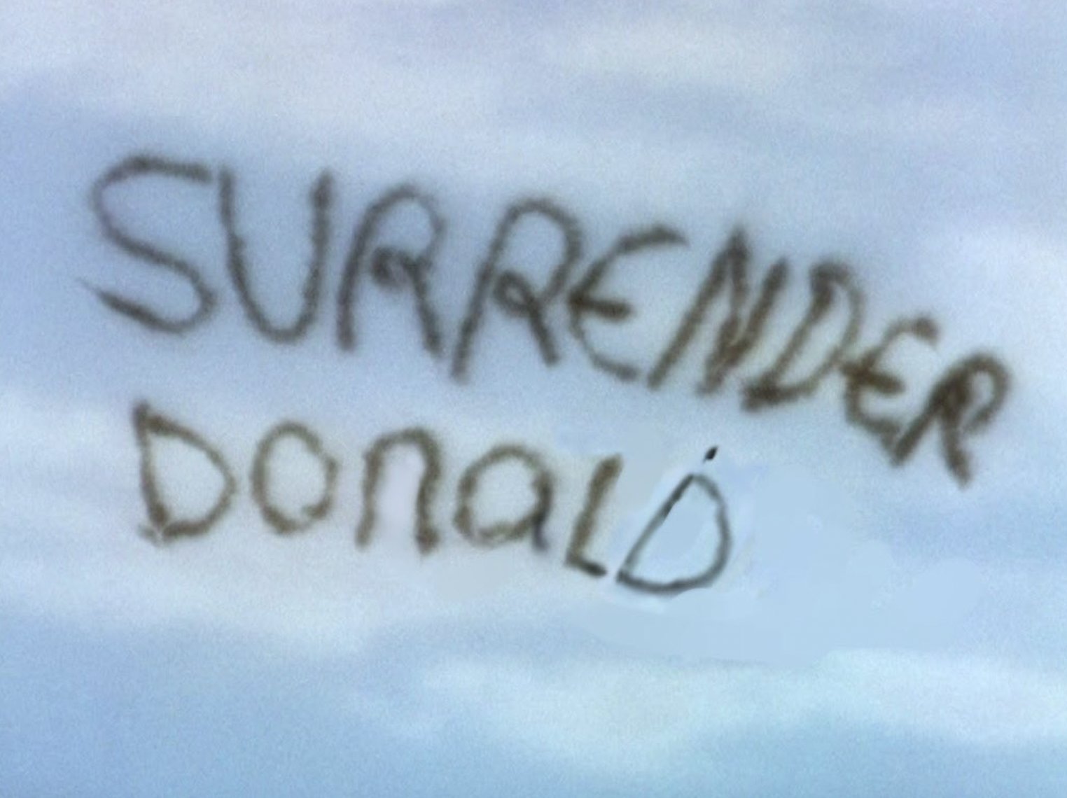 Rob "I dissent" Bon Vivant🌊 on X: "Seen in Pennsylvania today: Surrender  Donald😆 #TrumpRally https://t.co/qQvd4yTpy1" / X