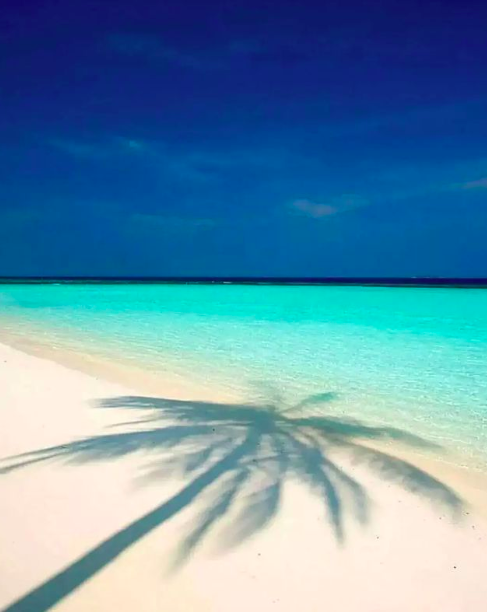 MvilleFoods's tweet photo. Gone to the beach 🏝 https://t.co/2qwSNmfGtN