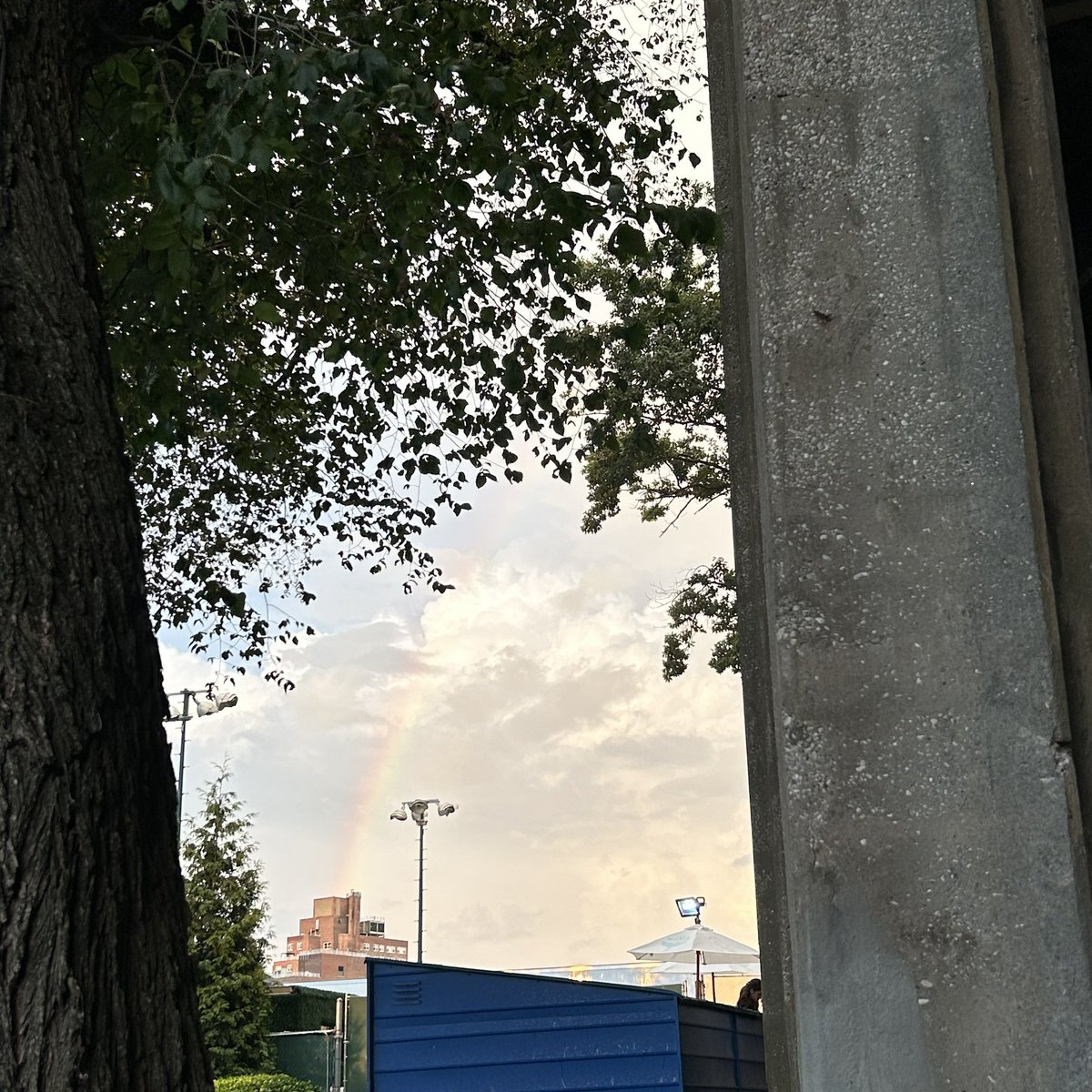 larryhoodie's tweet photo. Rainbow at louis’ last show in forest hills! https://t.co/5YSc1TsEBP