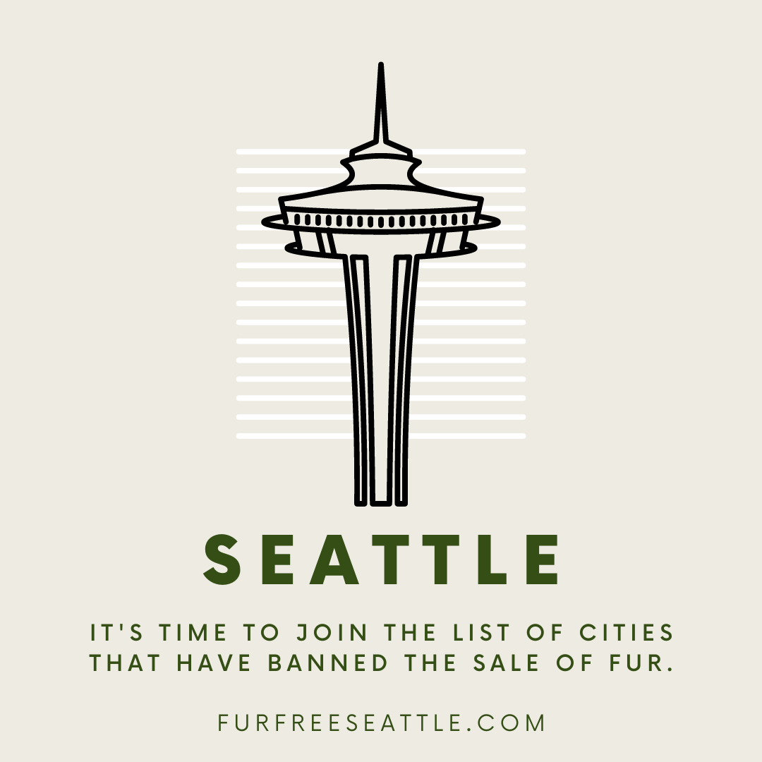furfreeseattle's tweet photo. More and more cities around the U.S. have banned the sale of new animal fur. It's time for #Seattle to join the list and show that this is a city that cares about #animalwelfare, the #environment, and #publichealth. 

Visit https://t.co/TB65daGZwi to learn more! @SeattleCouncil https://t.co/oJ9EZcluA0
