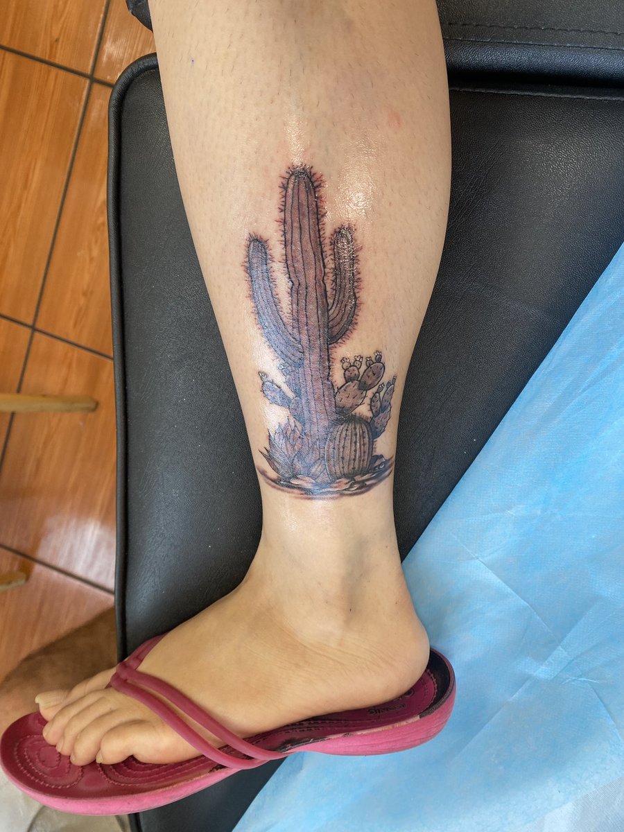 BeatrixxxKiddoh's tweet photo. The finished product 😄 oh boy I was not expecting that level of pain, I forgot what it felt like but I’m soo impressed and satisfied by this! I’ve wanted a cactus tattoo for the longest time, what a dream come true. #tattoo #cactustattoo https://t.co/RNAuSpzHmQ