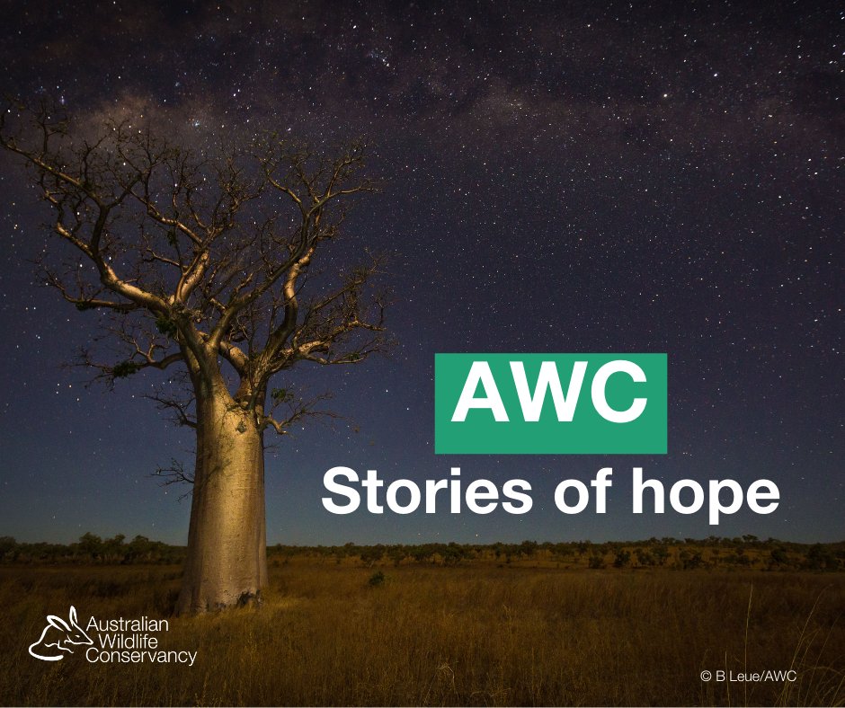 awconservancy's tweet photo. Positive conservation stories to end another month π We're breaking up your newsfeed with a few of the top AWC field stories we shared over the last month. Which is your favourite story? Let us know in the comments π
#AWC #ConservationOptimisim #InTheField#PositiveNews https://t.co/i9r29ObHoV
