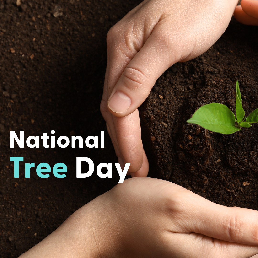 Utilitarian.World tweet media