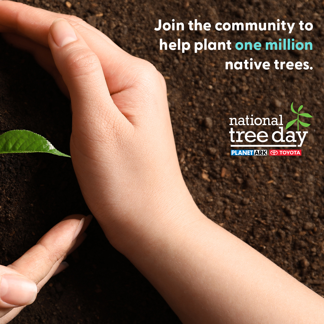 Utilitarian.World tweet media