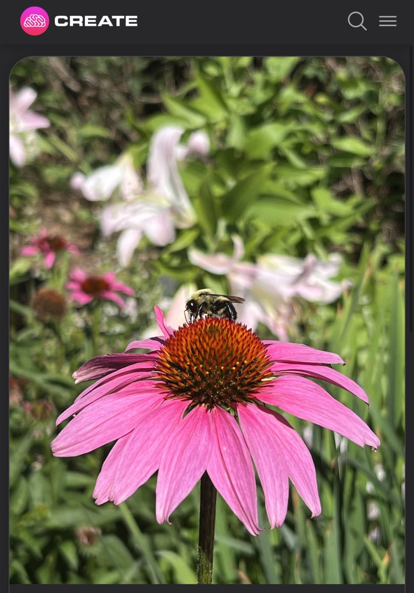 MandoxCreate's tweet photo. Some pics from an adventure today
#CreateNFTCamera
#NFTphotography #photography #photos #NFTs #NFT #NFTmarketplace #X #twitter #instagram #facebook #socialmedia #crypto #web3 https://t.co/ynsRdKFe9l