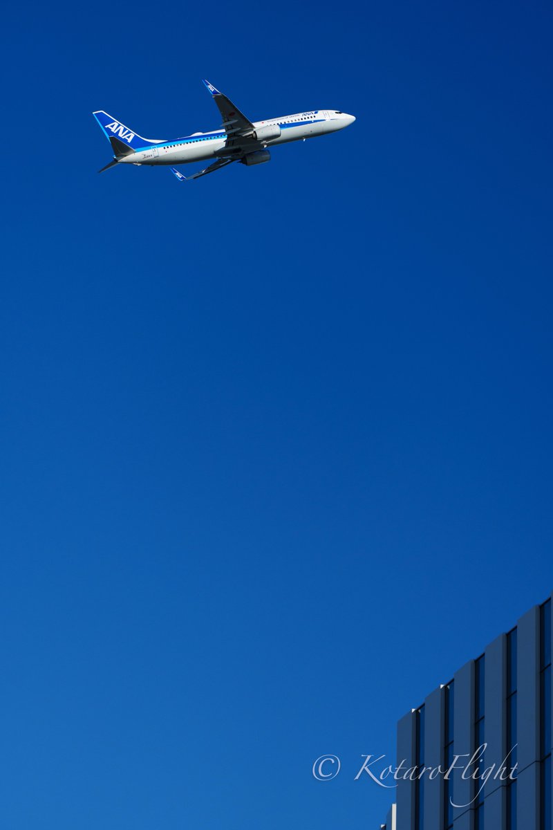 KotaroFlight's tweet photo. おはようございます😊既に暑いですね💦

よい日曜日をお過ごしください👍

#Aviation #Photograph #HND #RJTT #RWY22 #羽田 #ANA #NH455 #B738 #JA81AN  #kani_filter  #ソラマニ_ヒコーキ 🗓2023/07/29✈︎ https://t.co/ngfaySdGxb