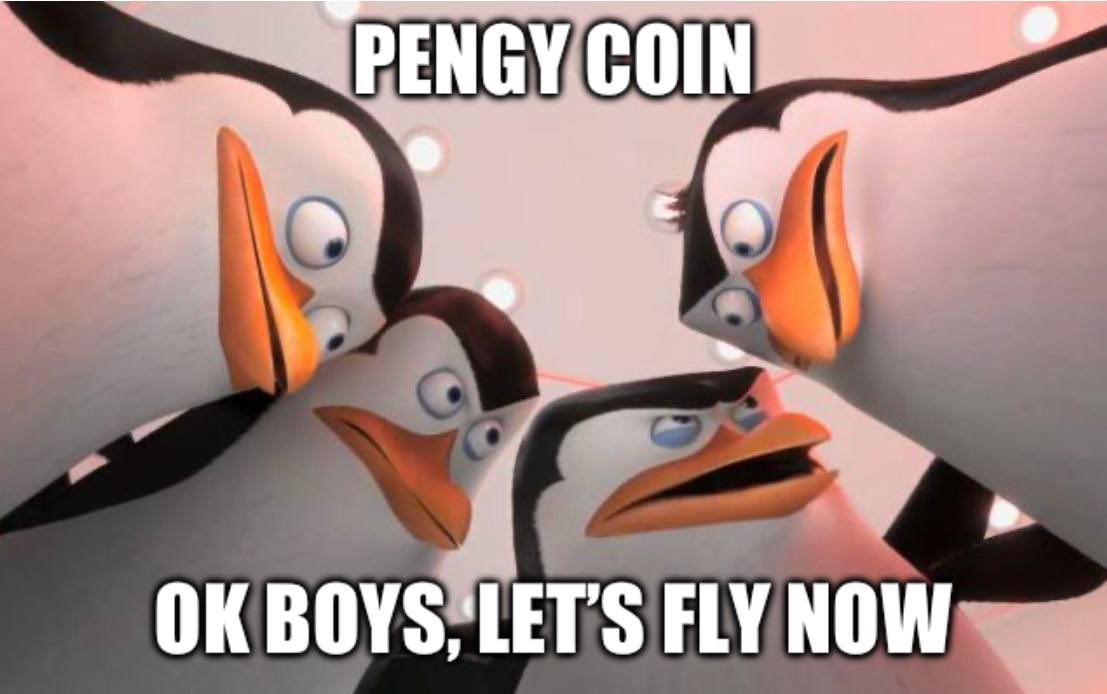 PENGYCOIN's tweet photo. @APompliano Yeah, but he needs a Penguin. https://t.co/noV0kq51bq