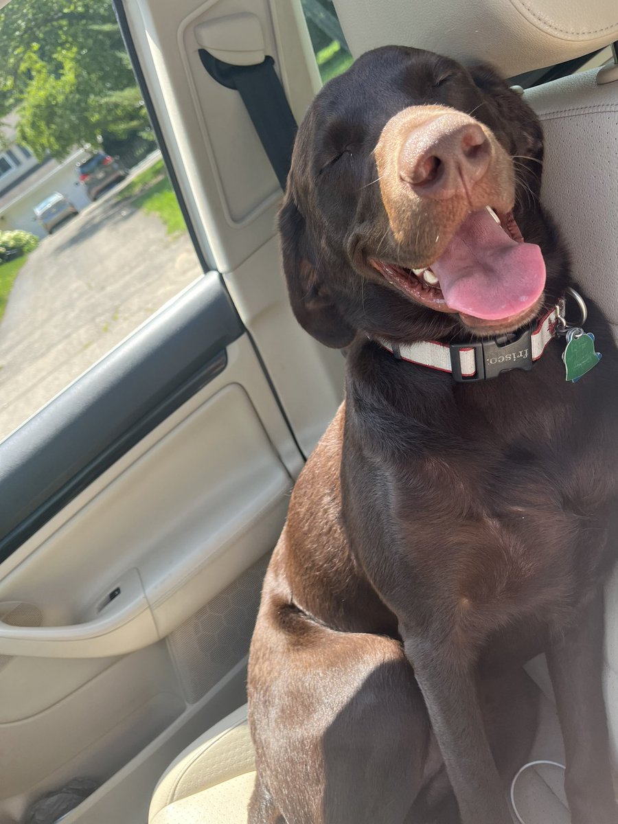 Duckyvibes :) tweet media