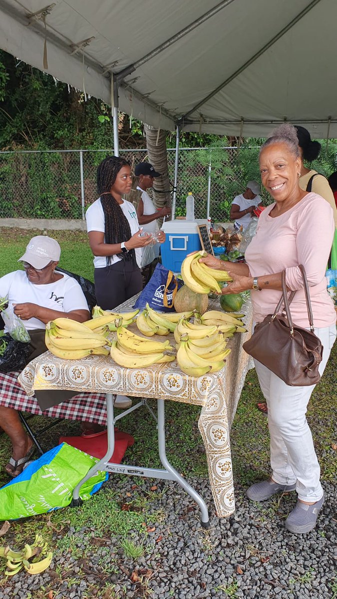 Each one is better than the last! Thank you for showing up, showing out, & supporting Helen’s Daughters! 🤍 #helensdaughtersslu #empoweringwomen #womeninag #foodproducers #saintlucia #farmhers #ashokamcc #claralionelfoundation #echoinggreen #equalityfund #opensocietyfoundation