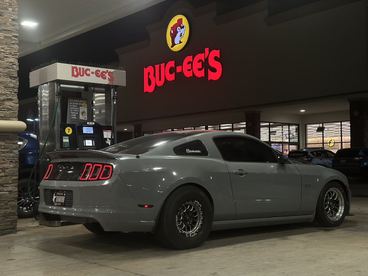 A wolf in wolf’s clothing, the beast is back 🔥 YT link below

youtu.be/eOk9GvAFhMY