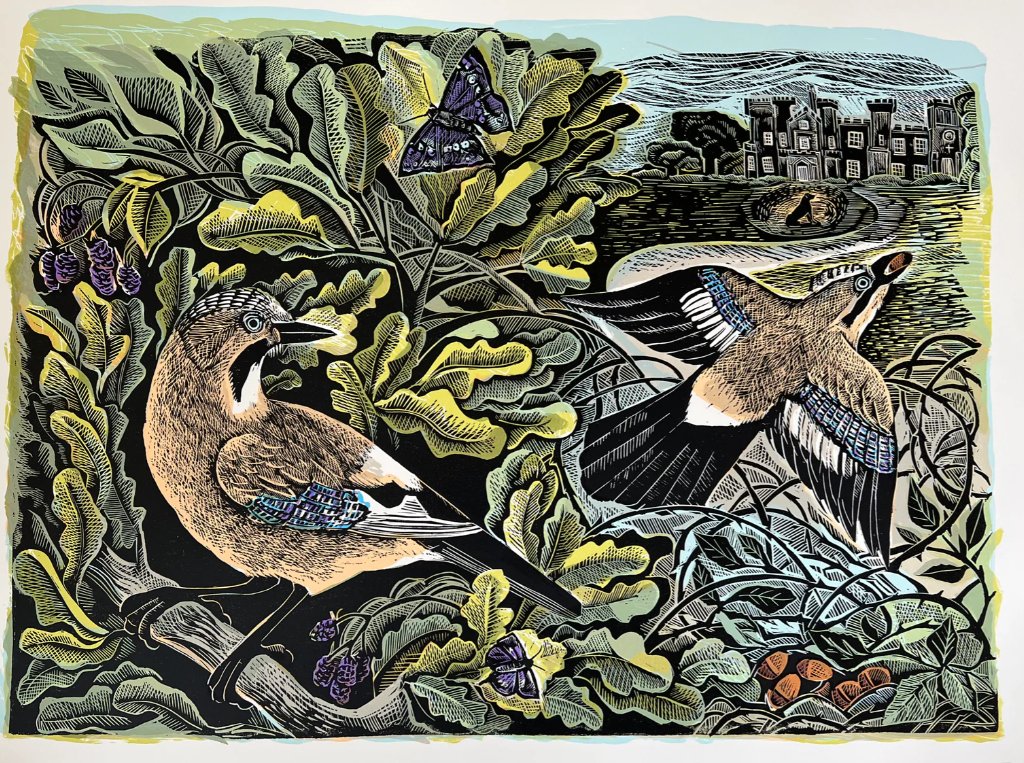 marysia_cc's tweet image. Angela Harding
@ANGELACHARDING 
Knepp Jay and Oak Tree