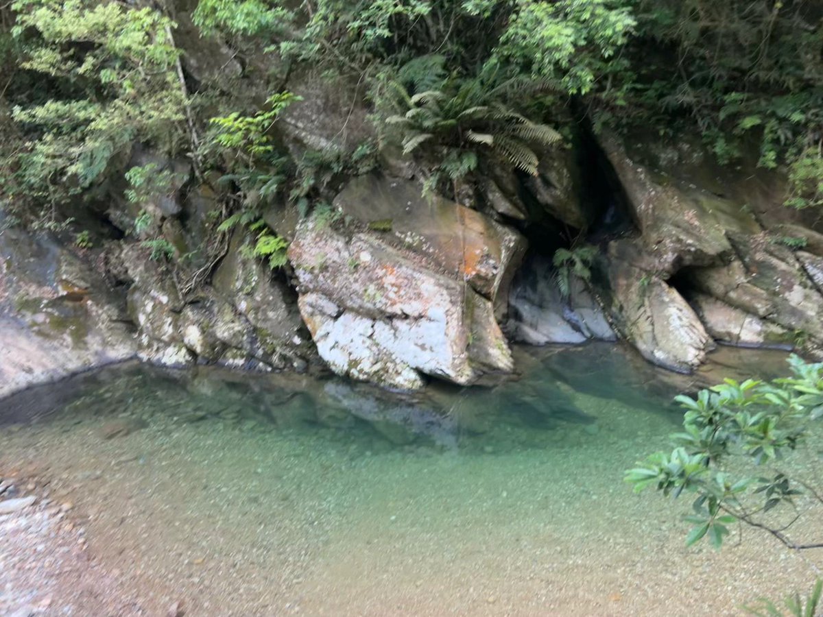 daversifier's tweet image. It's such a treat to go to water country in the summer #hiking #hiking #fun #forest #nature #creek #life #ecology