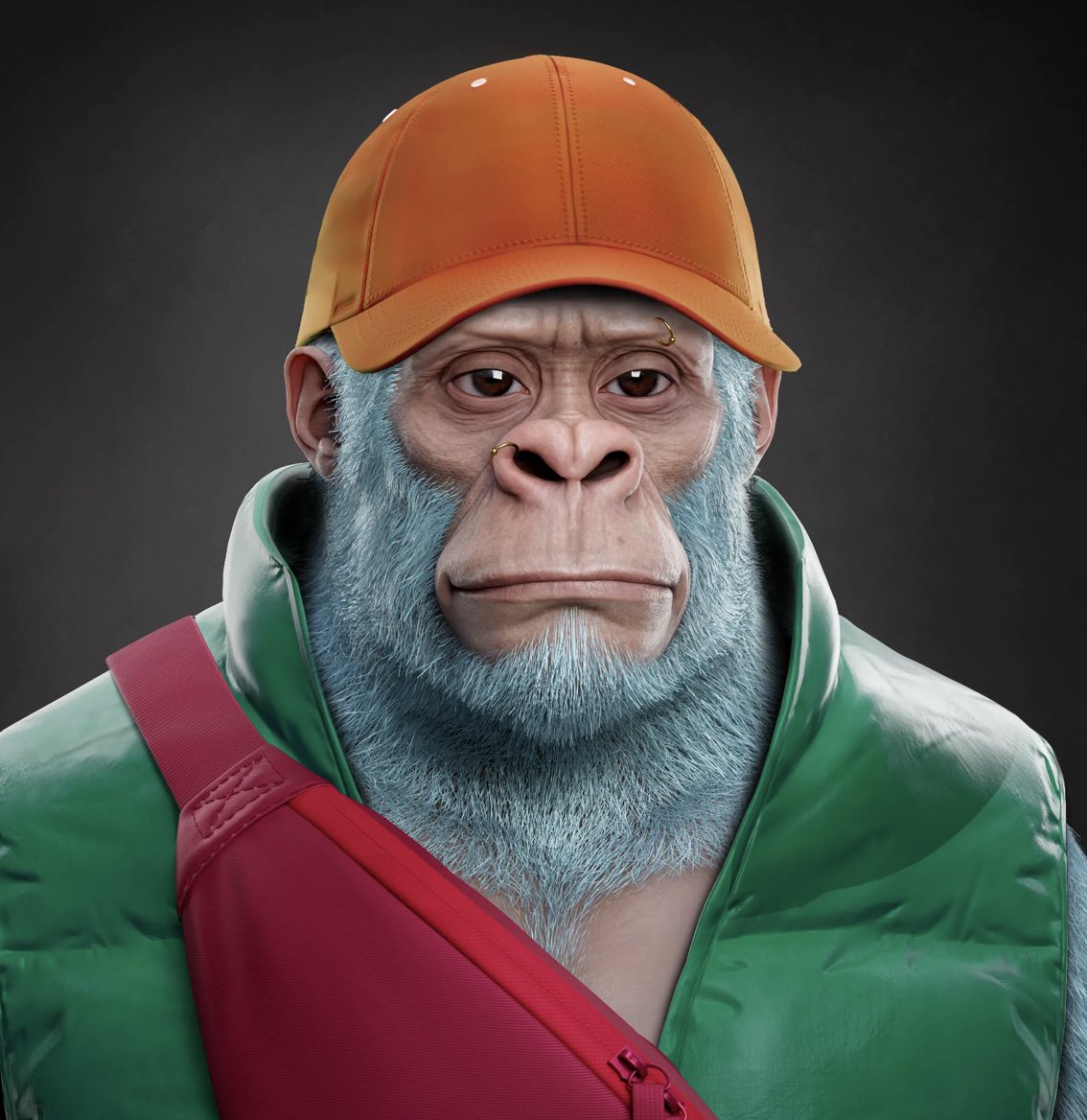 CyrusAbrahimX's tweet photo. Imagine Kongs getting upgraded 👀 https://t.co/R1Q3JVk2Z2