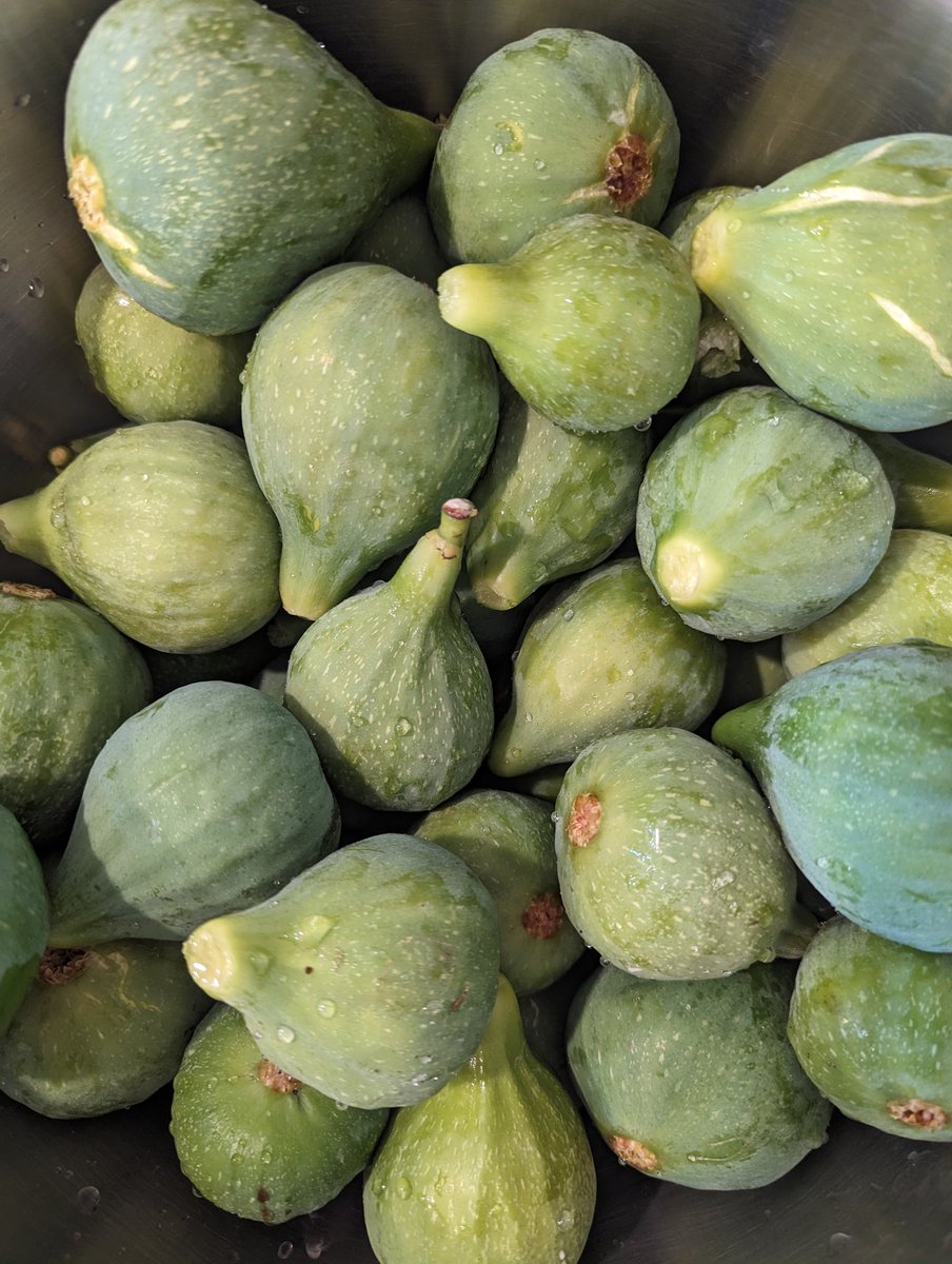 Jules needs a Diet Coke tweet media