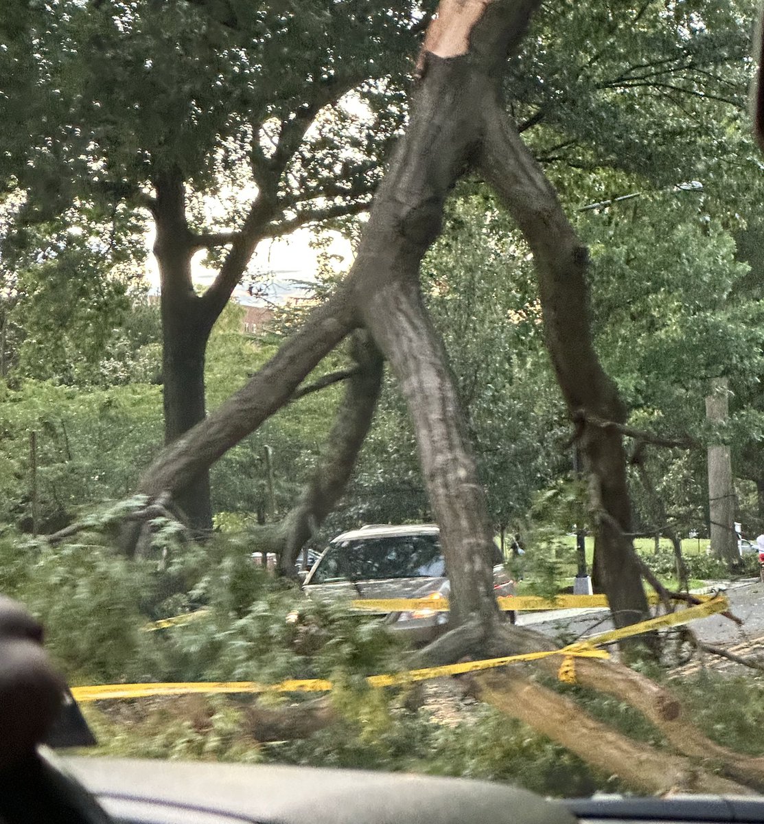CarolinaChimoy's tweet photo. Not a normal storm in #WashingtonDC https://t.co/1vVq5Ez2Cy