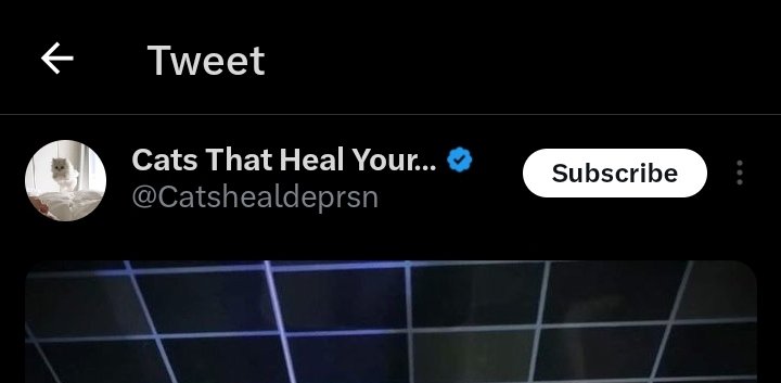 Why isn't the follow button quickly accessible as well. I doubt the majority of people want to subscribe when they're on a post. #XTwitter