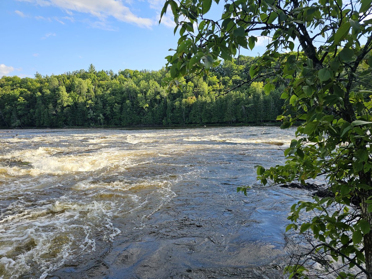 Lead_Sucks's tweet photo. What are you fishing for here? 
We think it's Smallmouth Heaven https://t.co/BT0aCadubB