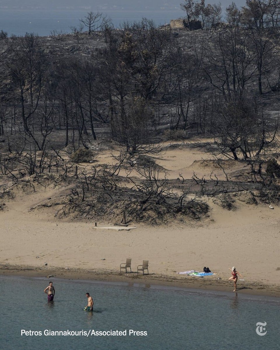 Dr. Lucky Tran tweet media