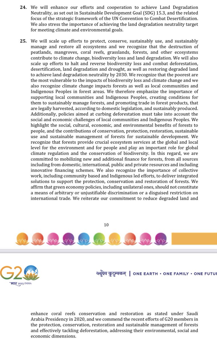 Pedro Mariano tweet media