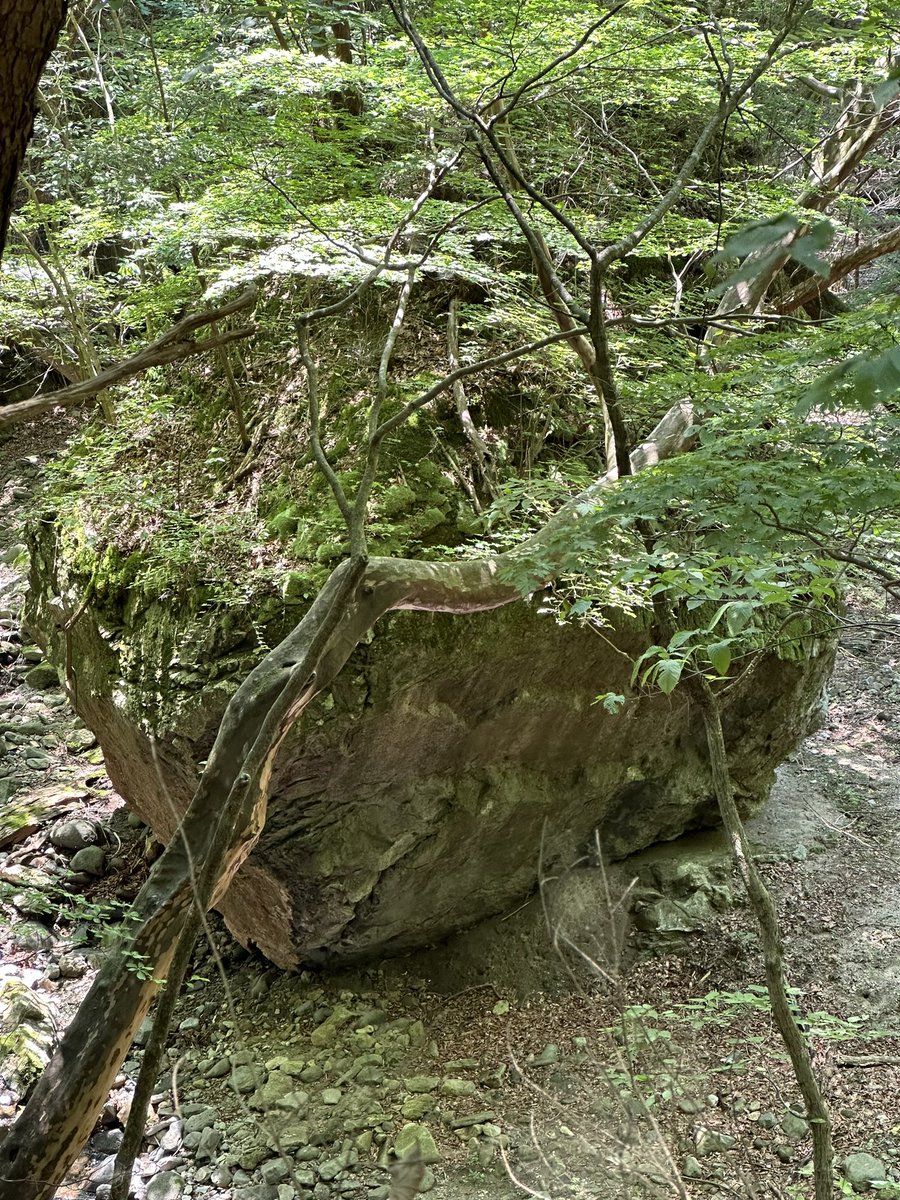 _rinbou_'s tweet photo. @ZEROclimbing これかな？ https://t.co/BV5DKqjnkm