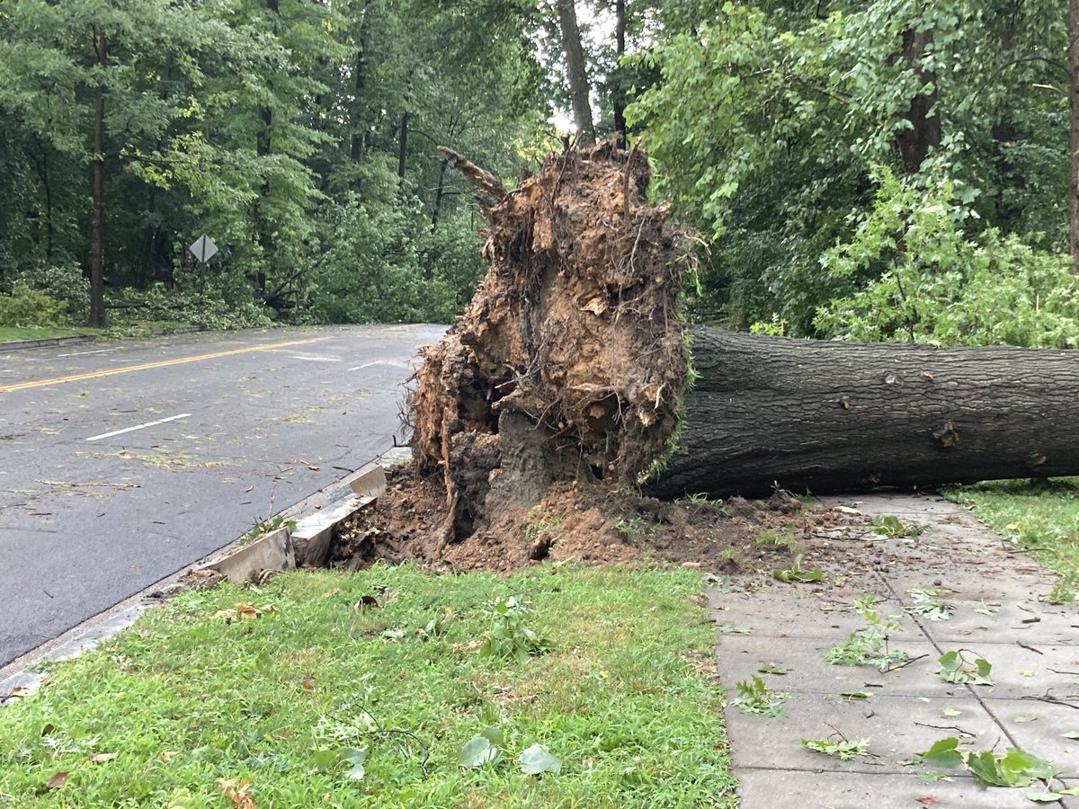 run2611643's tweet photo. Damage on Massachusetts Avenue from today’s storm. ⁦@capitalweather⁩ https://t.co/qltdknIdE3