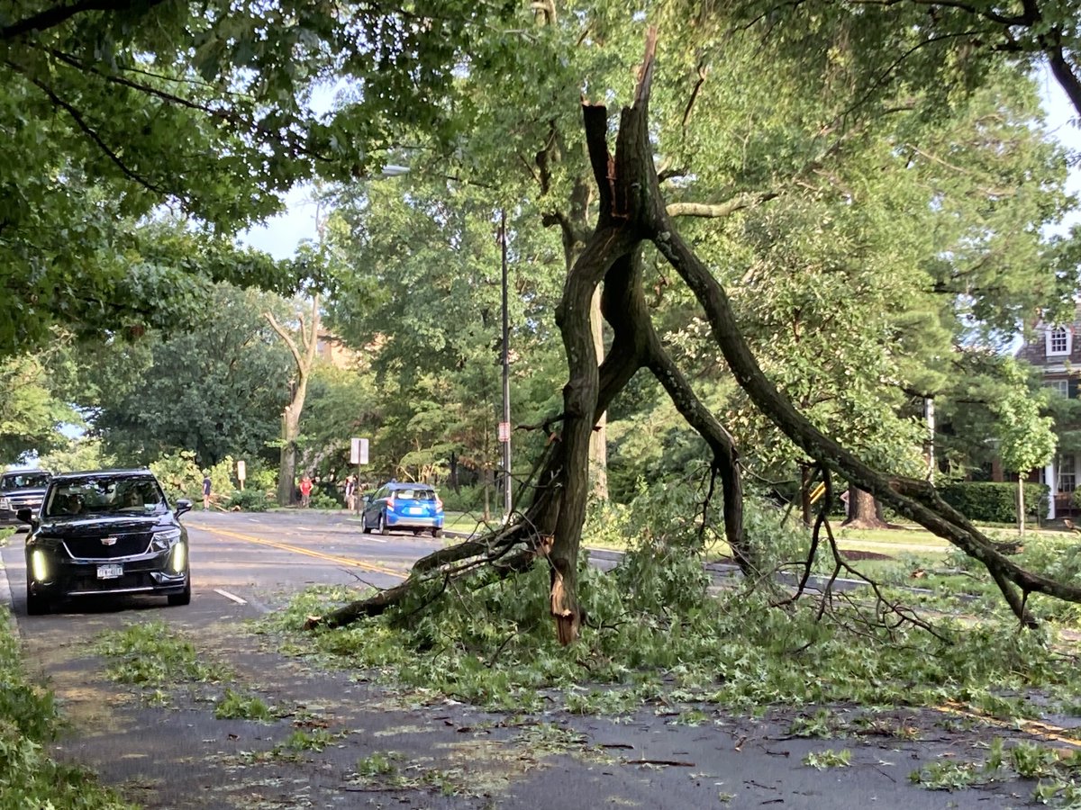 run2611643's tweet photo. Damage on Massachusetts Avenue from today’s storm. ⁦@capitalweather⁩ https://t.co/qltdknIdE3