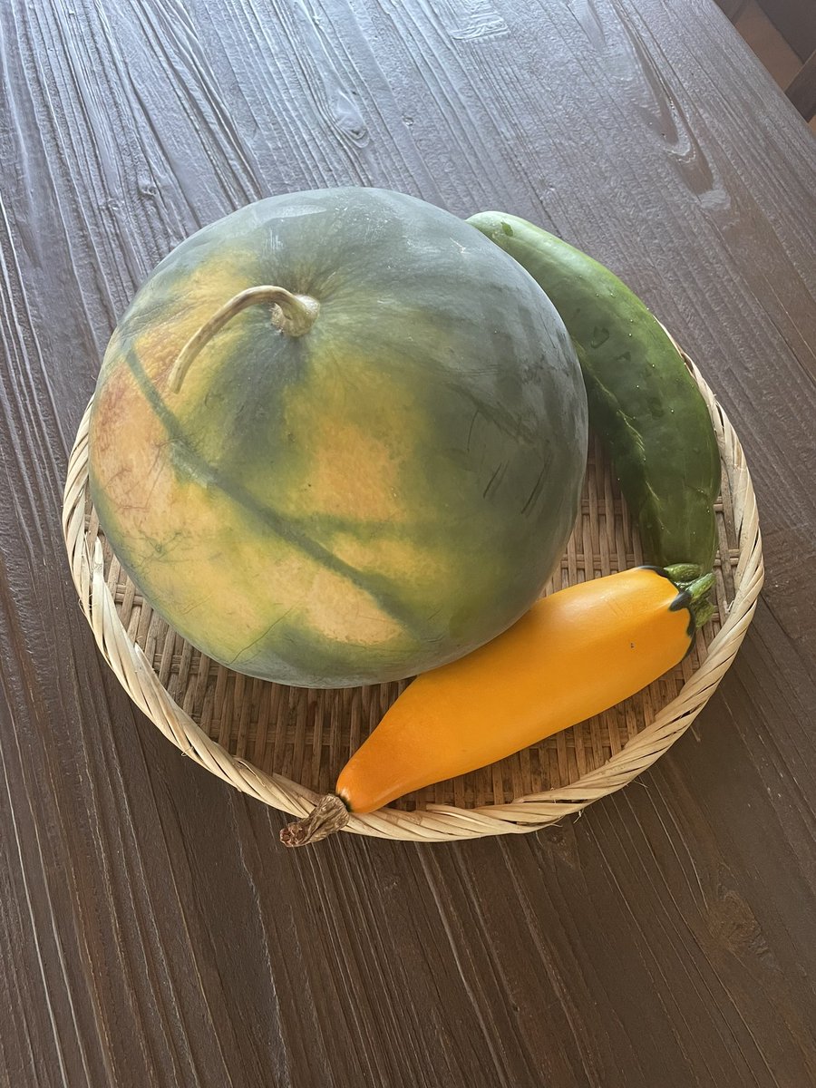 mrstyso27's tweet photo. 7月30日
#家庭菜園
#kitchengarden
本日の収穫

すいかの日焼けがすごい。 https://t.co/tyE1yeSsPA