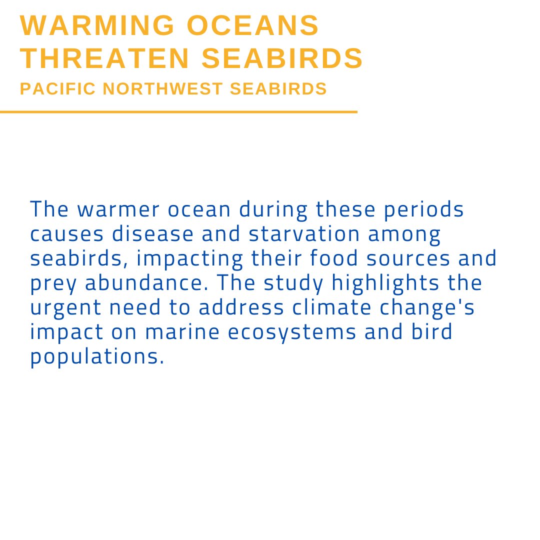 BC Nature tweet media