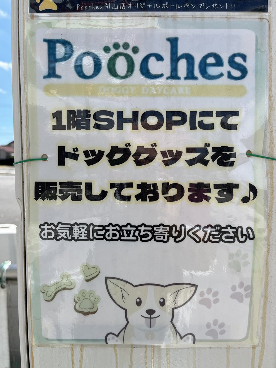 liberablog's tweet photo. いつも我が家がお世話になっている犬の保育園（デイケア）
引山店が１周年を迎えられました❗️
おめでとうございます😆

https://t.co/oZrwtqoPEV

#pooches 
#引山 
#1周年を迎えました https://t.co/bq487sqEj3