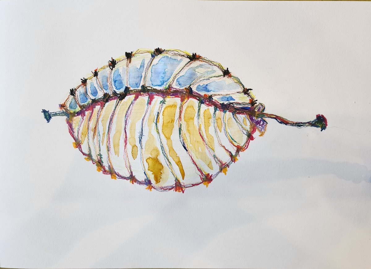 슬슬 시동걸고 준비중 
이 더운 여름 지나면 날고싶다