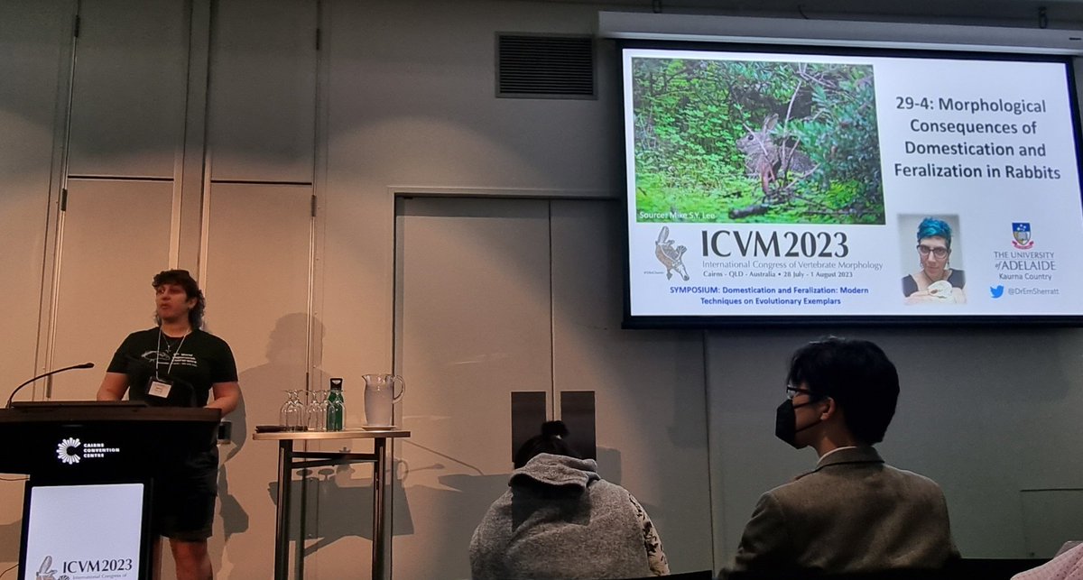 FolwellMegan's tweet photo. What a brilliant talk by @DrEmSherratt on Morphological Consequences of Domestication and Feralization in Rabbits, addressing a really important issue of the invasiveness of feral rabbits particularly to the detriment of our Australian flora and fauna. https://t.co/PQ7lGHMjan