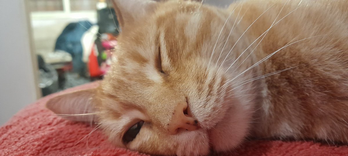 ƴªs 🫧𝆬࿔⭒⊹ tweet media