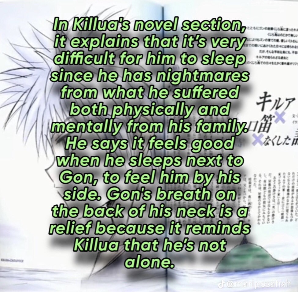 garfhater2001's tweet photo. they canonically cuddle but the show never acted on it. they canonically cuddle but theres not any official art. not even niuya. they canonically cuddle but the closest thing we have is niuyas fucking official art of killua holding his stupid ass gon plushy like some idiot https://t.co/l9ueb6nVkq