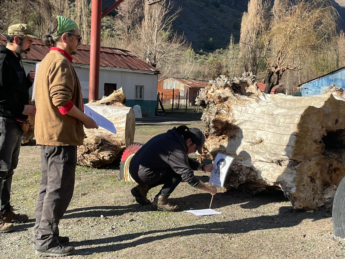 Fundación 1367 Casa Memoria José Domingo Cañas tweet media