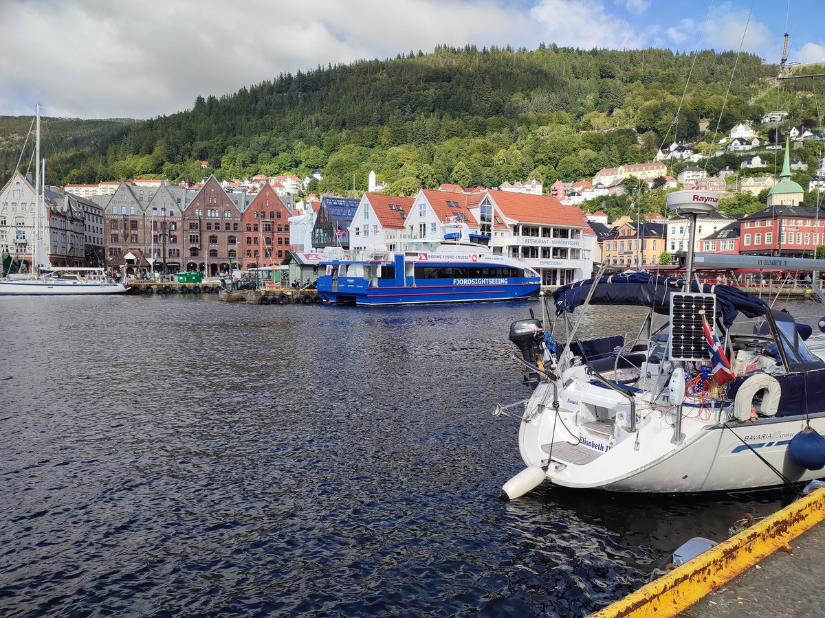 kaceykells  tweet media