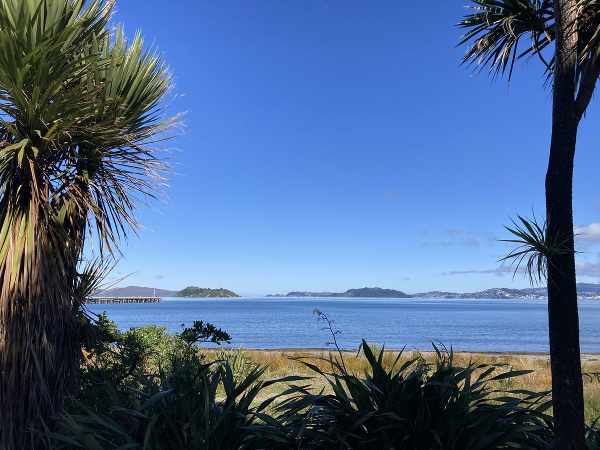 Pito-one today. 😊