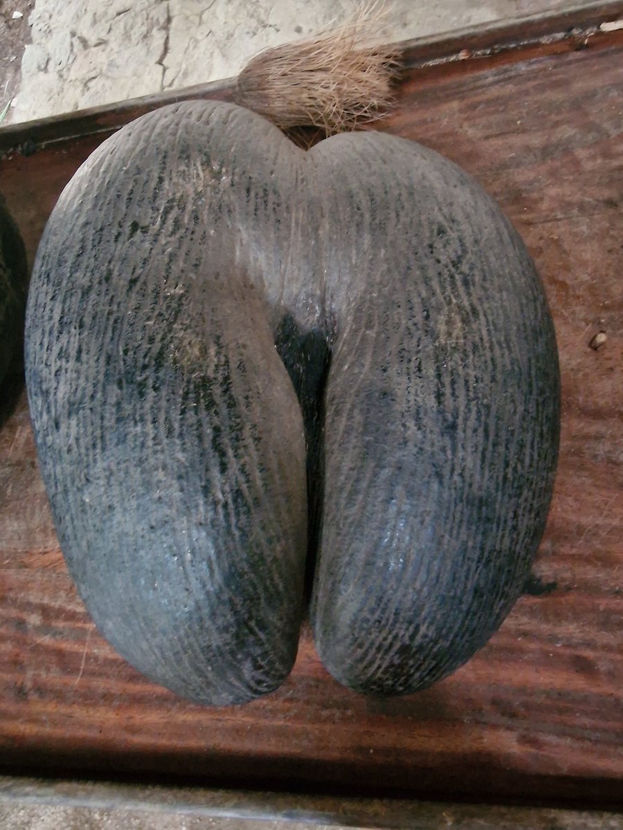 Tadeja Kuhar tweet media