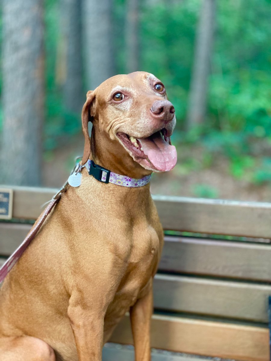 Joe Chowaniec Images tweet media