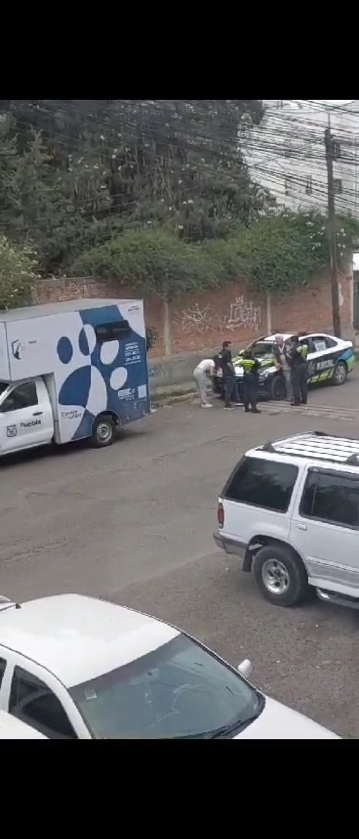 RUL3TAS's tweet photo. Otra de adolescentes maltratando Animales en Puebla. Abro hilo https://t.co/od85V0jpSE