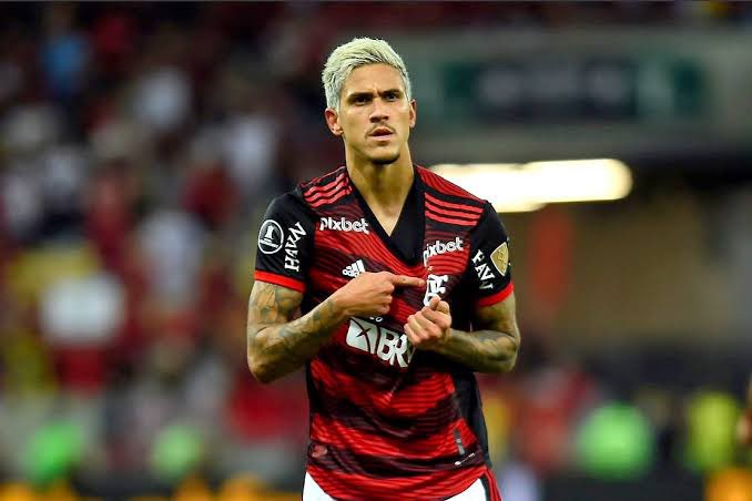 simpraisa's tweet photo. Gosto do trabalho do Sampaoli e já falei sobre isso várias vezes, mas uma crítica que tenho é o pouco que investe no Pedro, atacante que mais participou de gols entre os jogadores da Série A este ano, Rei da América. 

Contra o América-MG entrou aos 75, contra o Grêmio aos 78 e hoje nem jogou. Treinador precisa achar mais espaço para o camisa 9. 

📸 Flamengo / Divulgação