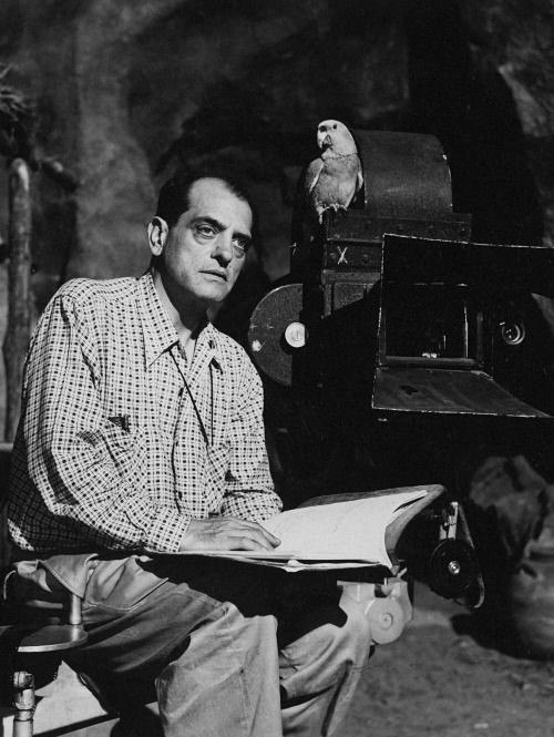 literlandweb1's tweet photo. "Todo lo que es hermoso tiene su instante y pasa". 
Luis Buñuel https://t.co/WjWnrqPbyG