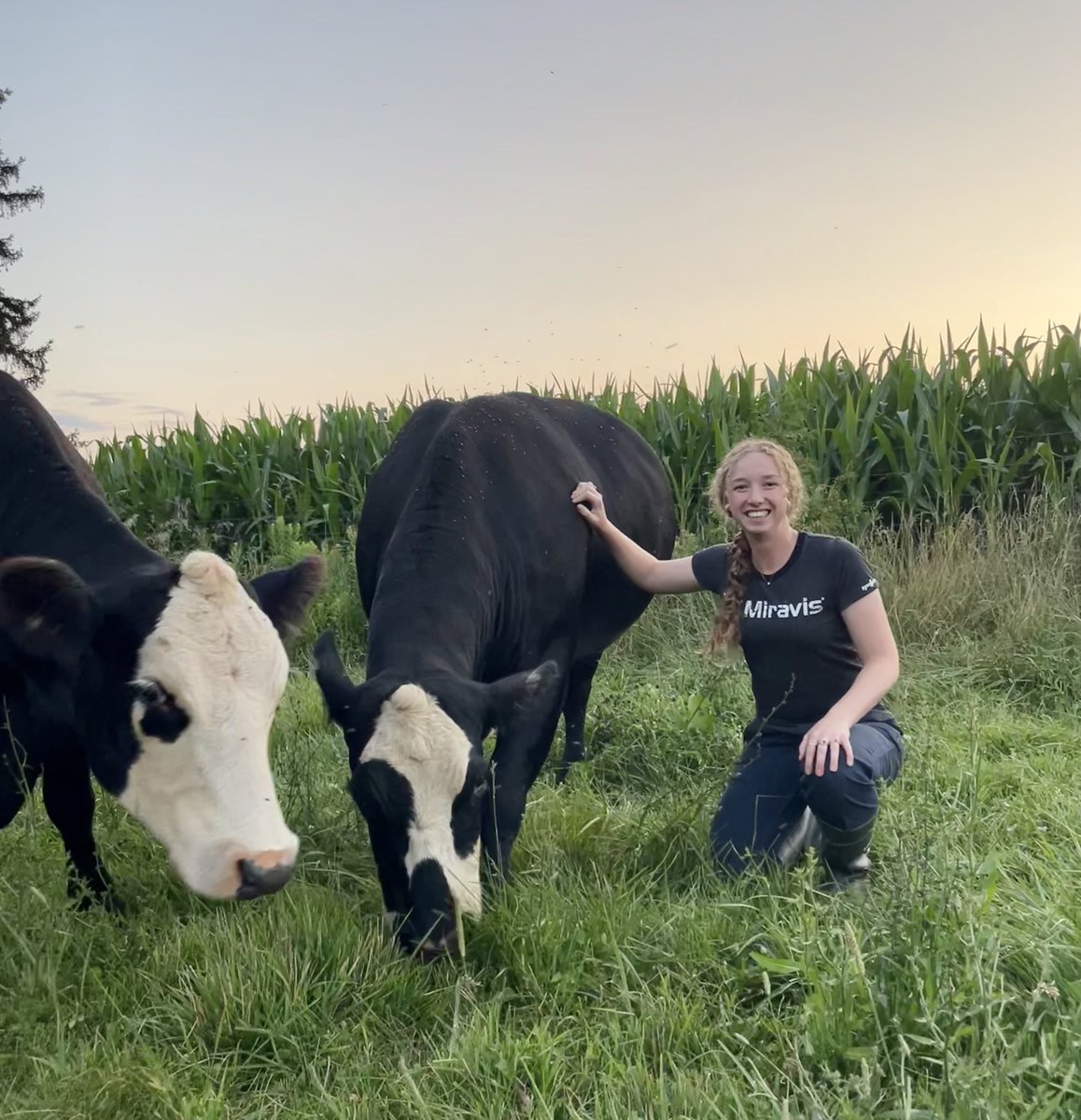 The girls &amp; I popping in to remind you that #MiravisNeo is your all-in-one solution to get more mileage out of your corn silage this season! 🌽 Talk to your local <a href="/syngentacanada/">Syngenta Canada</a> Sales Rep today to learn more! #cowchow