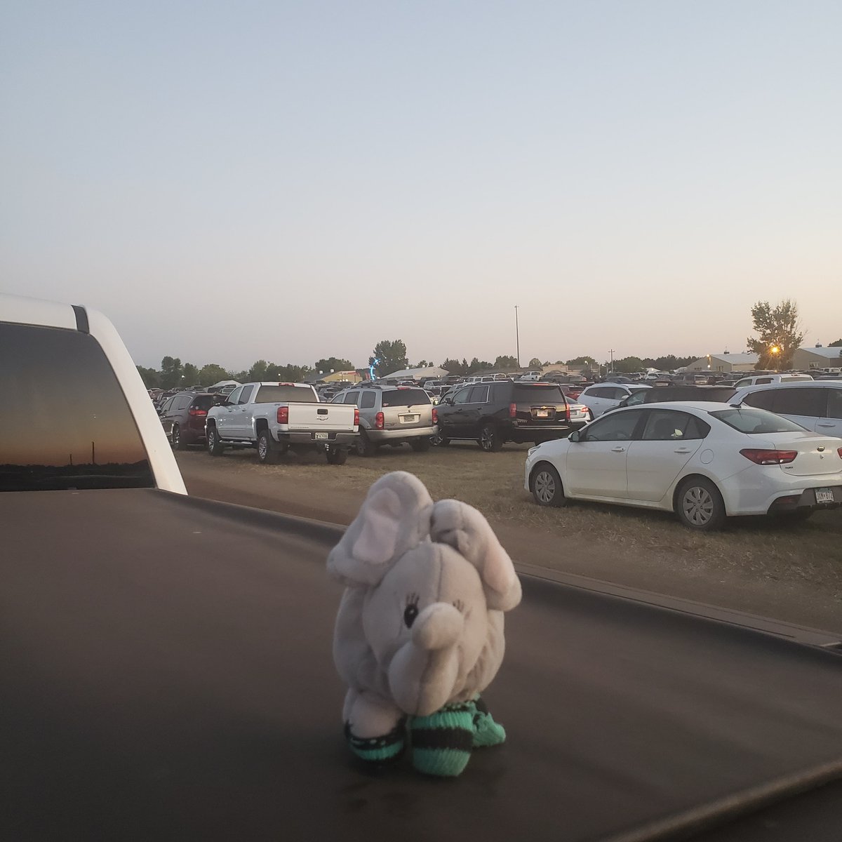 filtheelephant's tweet photo. Had a great time at the Scott County Fair and watching the demo derby! #summer #countyfair #scottcountyfair https://t.co/m9lOrRIPEz