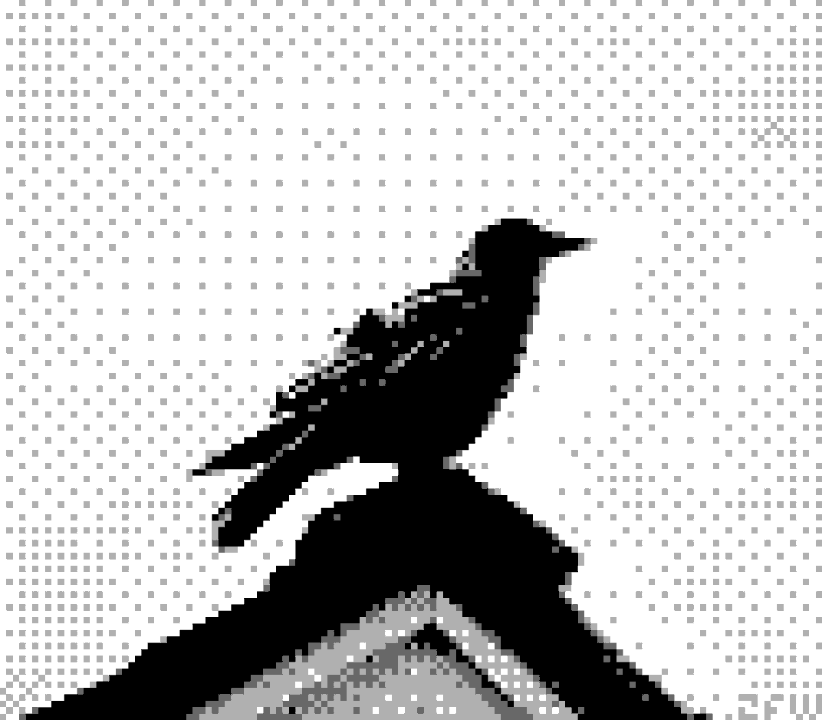 glitch_wolfe's tweet photo. More crows for my crow friends https://t.co/mFZvw0nZAI