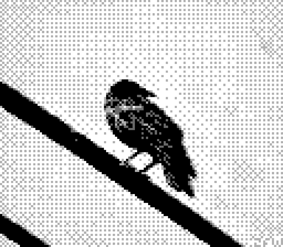 glitch_wolfe's tweet photo. More crows for my crow friends https://t.co/mFZvw0nZAI