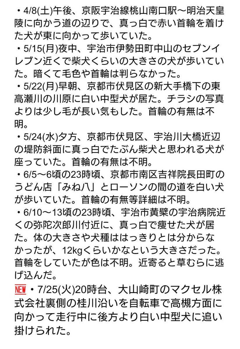 9F3b7Qk9SoFTeQD's tweet photo. ※2023/7/30固ツイ更新しました。
2023/4/6(木)、京都市伏見区の京阪淀駅付近で失踪した白柴のみるくを捜索中です。失踪からもうすぐ４か月、生きているなら今日で8歳になりました。目撃情報も少なくなっていますが、先日一件頂きましたので更新しました。引き続き情報おまちしております。 https://t.co/137AIzENmq